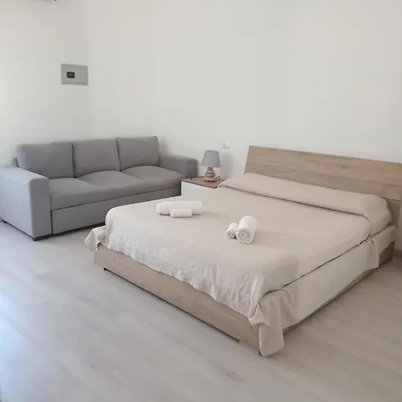 Experience 알게로