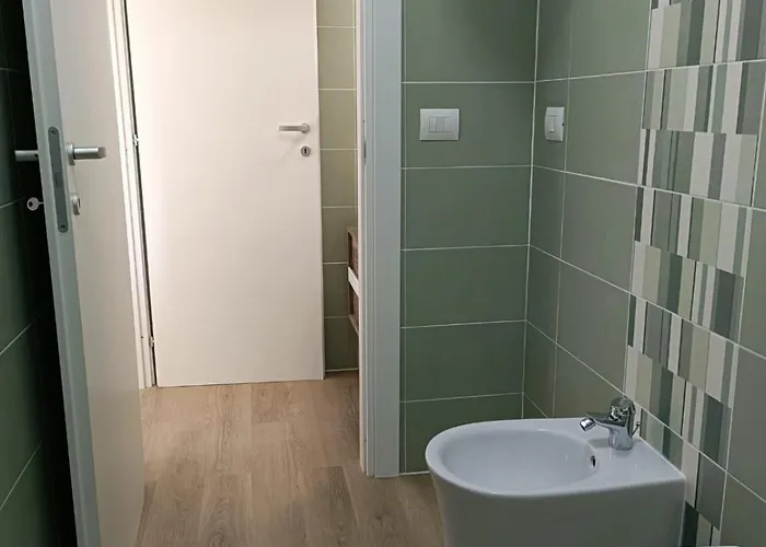 Experience * 알게로