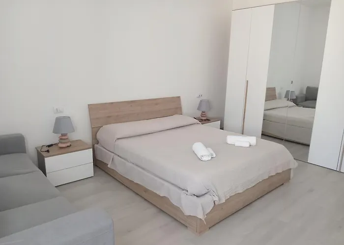 Experience 알게로